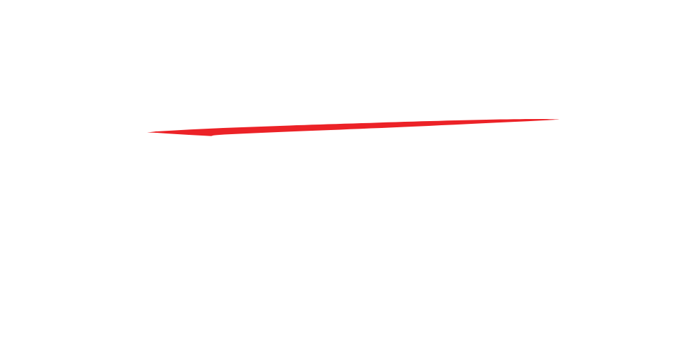 autobid auction